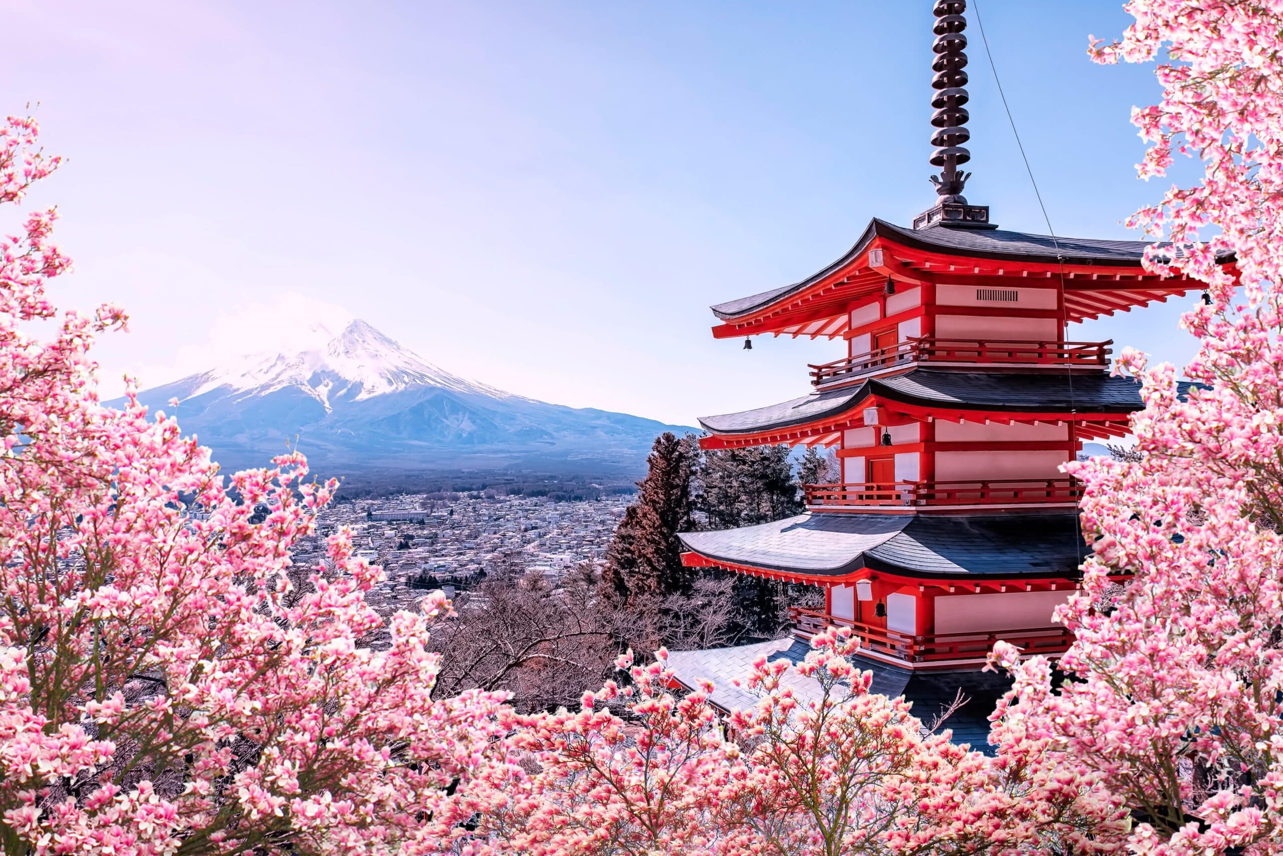 Torii gates on a path in Japan